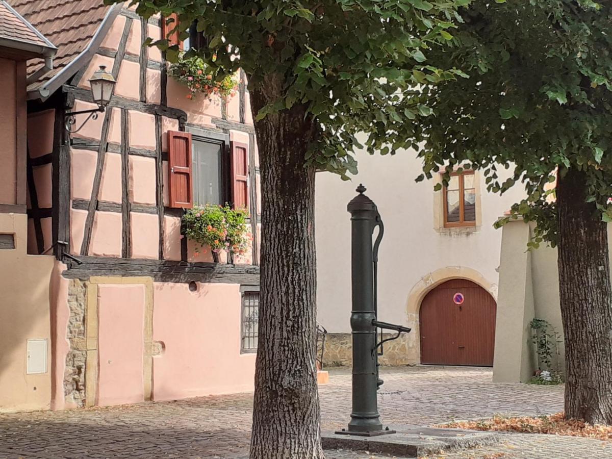 Gîte de la Liberté Rouffach Extérieur photo