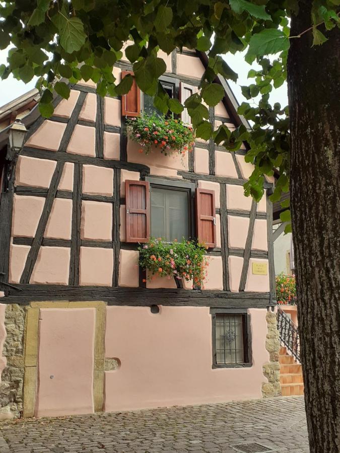 Gîte de la Liberté Rouffach Extérieur photo